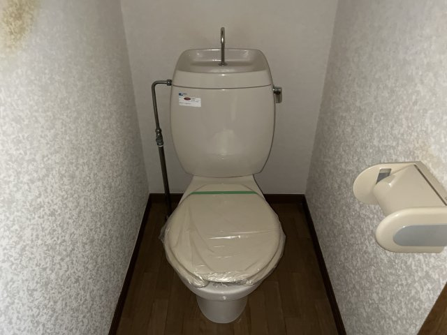 エステートピアセルベーユⅡのトイレ