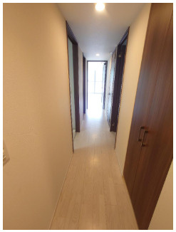 メイツ四条畷駅前のその他|廊下