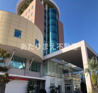 epi和白丘の周辺