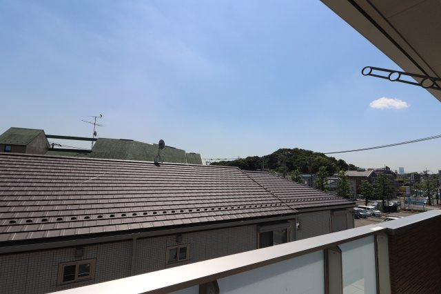 ベルミナールAの展望