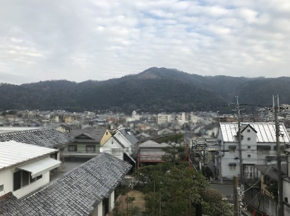 【展望】 | S20884-第三錦林