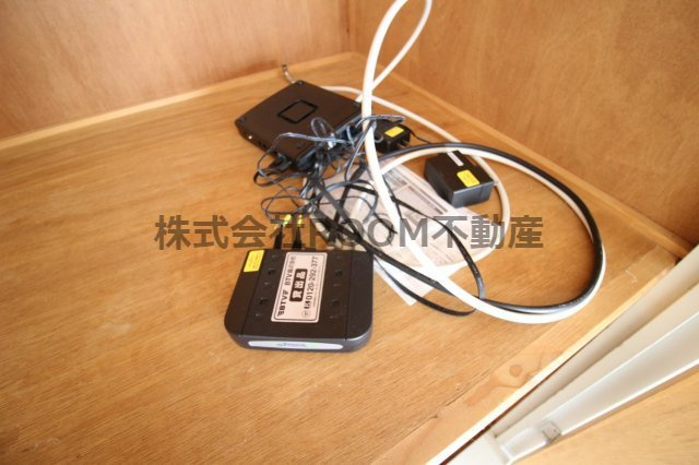 フィロフジヤマのその他