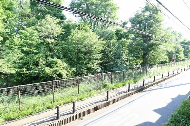 シャトー美堀台の展望