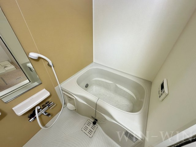 クラリス Bの浴室