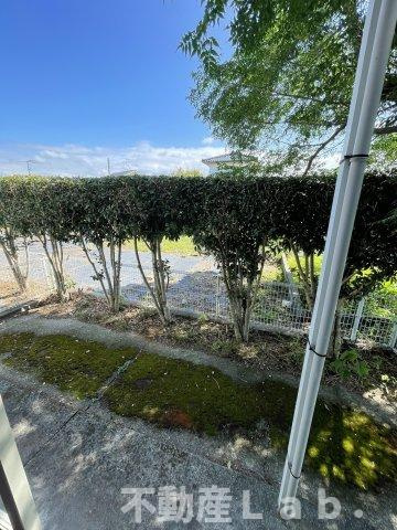 スカイアイランドの庭