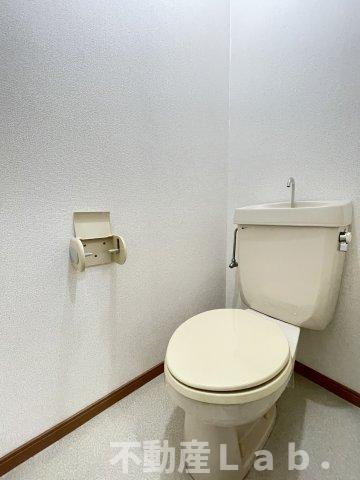 スカイアイランドのトイレ