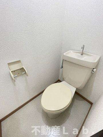 スカイアイランドのトイレ