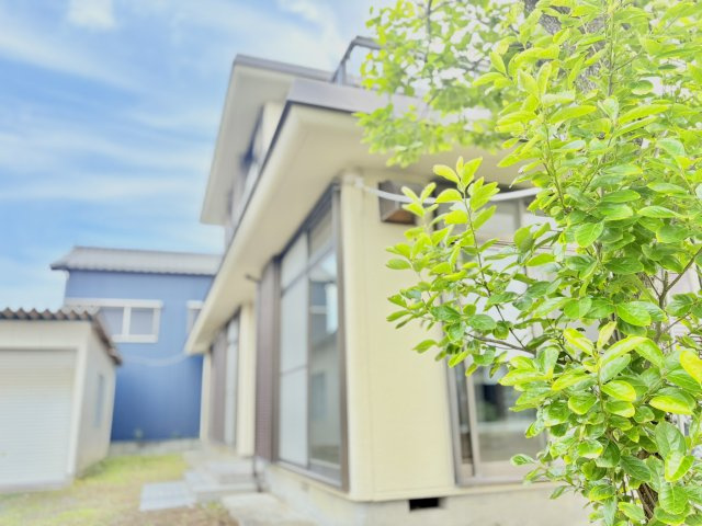 売中古戸建　掛川市千浜の外観|敷地内に緑もあり、余裕のある敷地で快適な生活が送れます。