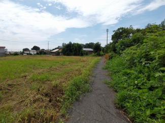 【前面道路含む現地写真】 | 西側道路