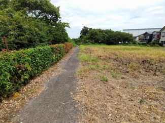 【前面道路含む現地写真】 | 西側道路