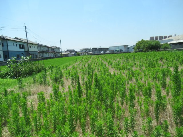 津山市押入　売地　1644坪の外観