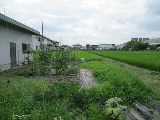 津山市押入　売地　1644坪の外観