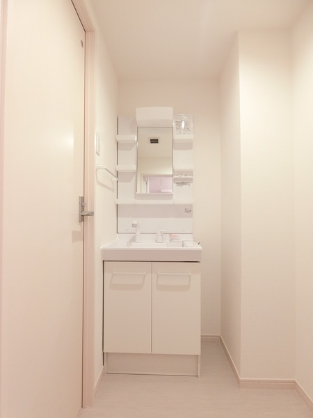 リブリ・コンフォルトⅡの洗面所