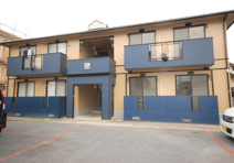 プルーリオン花水木Ａの画像