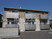 ﾌﾟﾗﾝﾄﾞｰﾙの画像