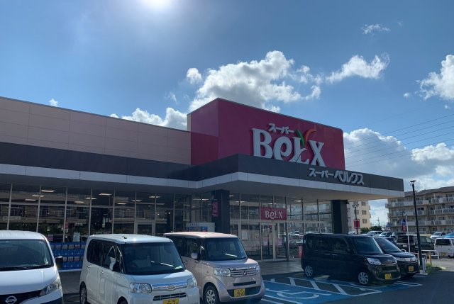 柏市しいの木台５丁目新築戸建（しいの木台８期）の周辺|ベルクスまで600ｍ