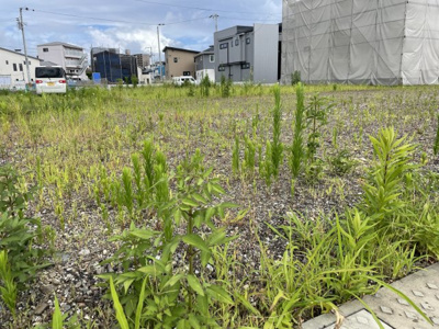 【その他】 | 売地　高知市中須賀町　南区画　＠57.03 | 西側より東を望みて