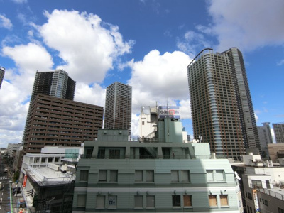 【展望】 | ドレッセタワー武蔵小杉