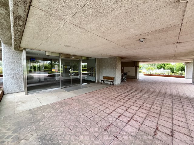 の-の画像