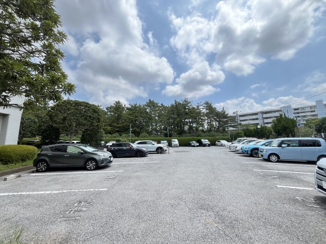 の-の画像