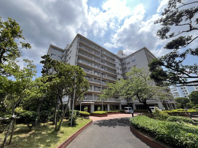 の-の画像