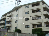 大森山王濱栖鳳の画像