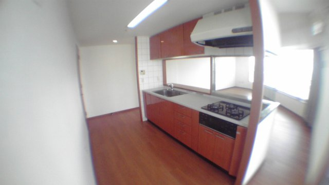 江東区豊洲５丁目の賃貸マンションのその他|キッチン