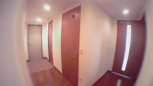 江東区豊洲５丁目の賃貸マンションの玄関