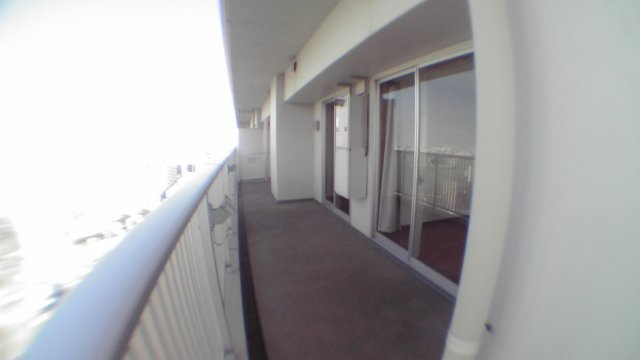 江東区豊洲５丁目の賃貸マンションのバルコニー