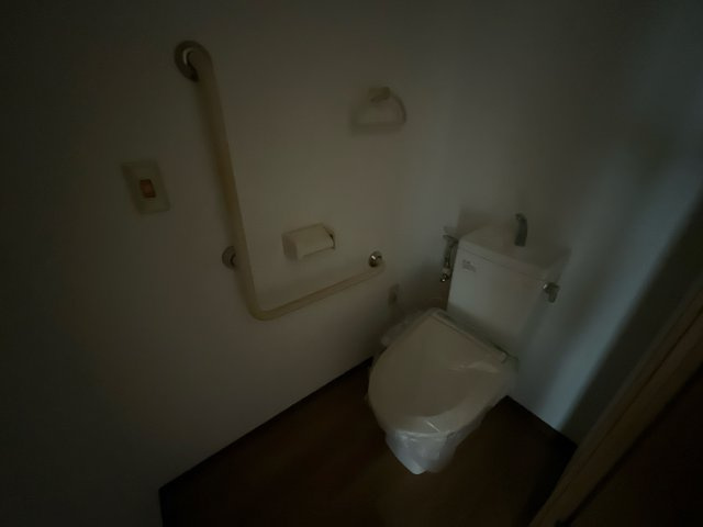 ロイヤルメゾン草上のトイレ