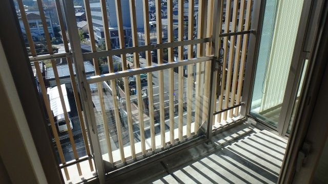IRORIEの展望