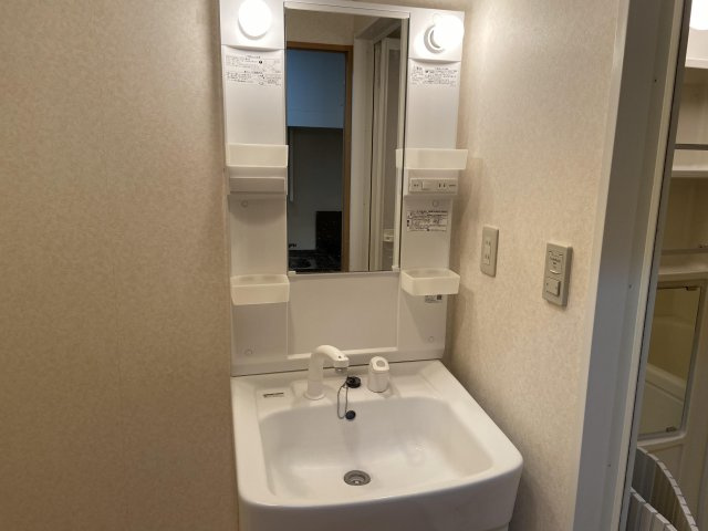 シェルグラン京田辺の洗面所