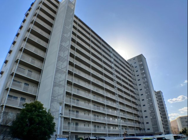 ボナハイツ中川1号棟の画像