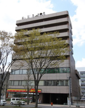 コンヤスビルの画像
