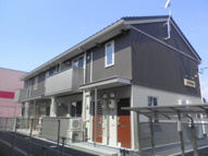 19dropsの画像