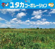 白糠町庶路2丁目売地の画像