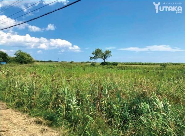 【外観】 | 白糠町庶路2丁目2-10売地