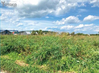 【外観】 | 白糠町庶路2丁目2-10売地