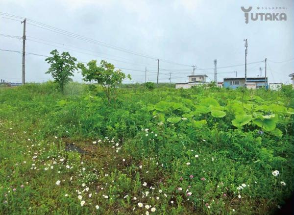 【外観】 | 白糠町西庶路東2条南4丁目3-2土地