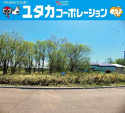 柏東7丁目142売地の画像