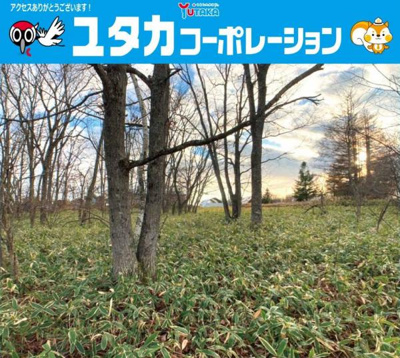 【外観】 | 阿寒郡鶴居村字幌呂332-8売地