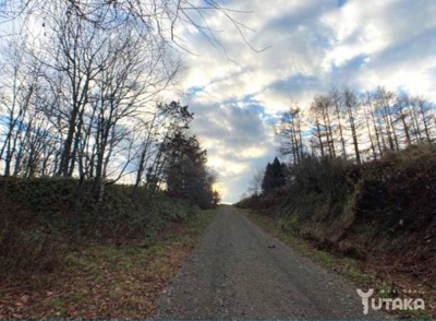 【外観】 | 阿寒郡鶴居村字幌呂332-8売地