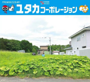 柏東5丁目売地の画像