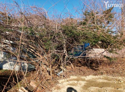 【外観】 | 弥生1丁目9-1売地