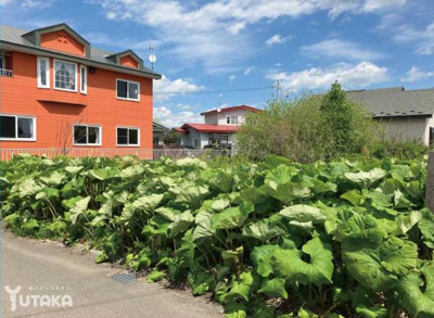 【前面道路含む現地写真】 | 柏東7丁目95売地 | 前面道路含む現地写真です