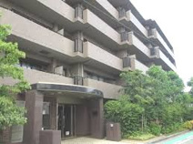 ステイツ上甲子園ゆりのき通りの画像