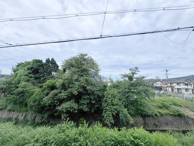 アートハウスならの展望