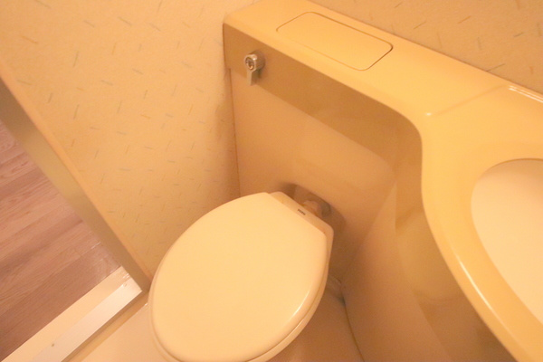 ビルまあぁろ～のトイレ