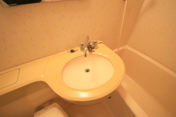 ビルまあぁろ～の洗面所