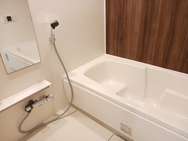 メゾン・ド・アンジュCの周辺